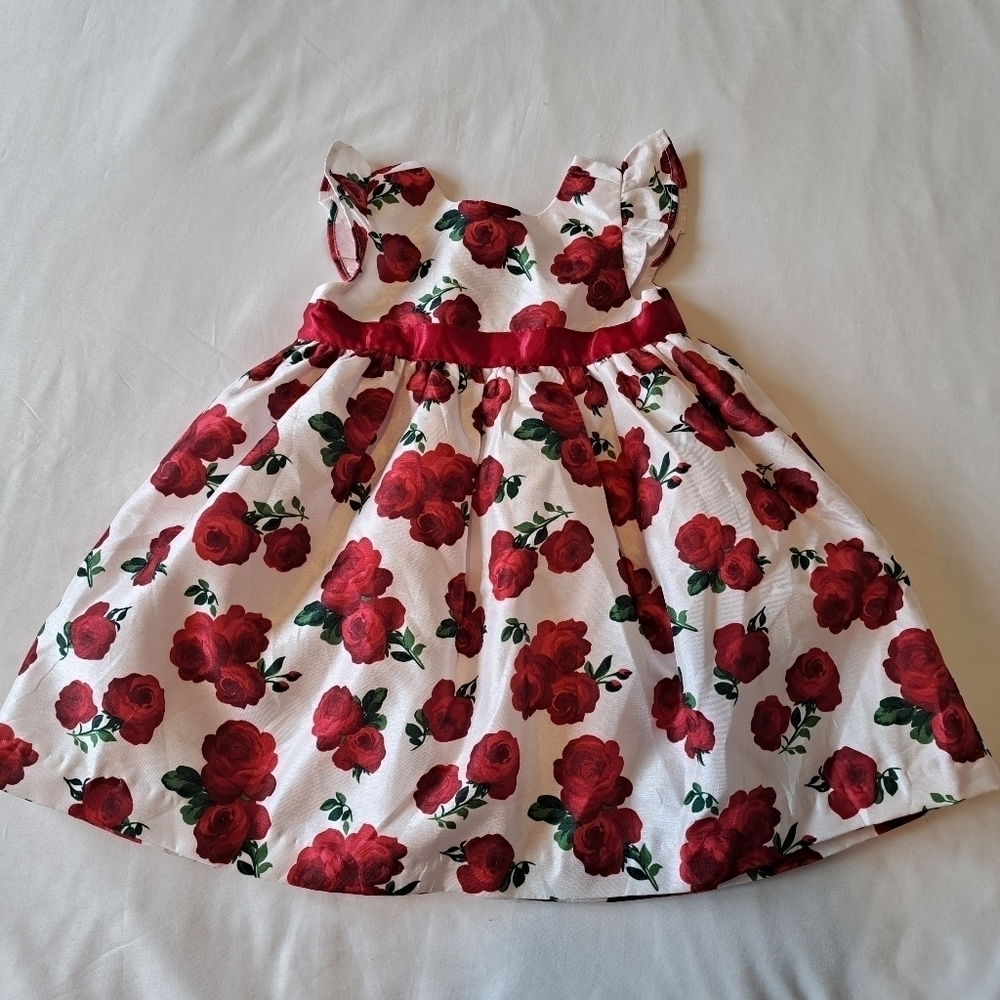 Gymboree girls 6-12 months party dress EUC Rose print